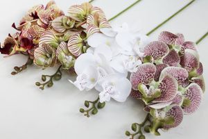 Ветка декоративная Орхидея Афродита 60 см белые цветы