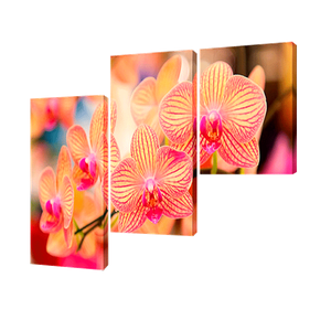 Модульная картина 150х100 см Коралловые орхидеи