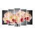 Пятимодуль Орхидеи Шоупис 125х80 см