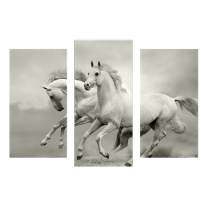 Модульная картина 95х67 см Два Коня