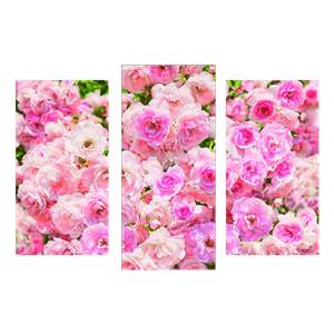Модульная картина Триптих Розовый куст 95х67 см