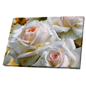 Постер 34х24 см Белые розы